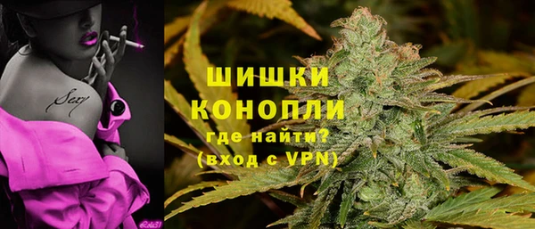 бошки Алексин