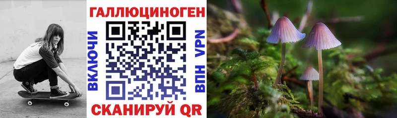 darknet наркотические препараты  Саянск  Галлюциногенные грибы Magic Shrooms 